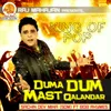 About Duma Dum Mast Qalandar Song