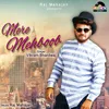 About Mere Mehboob Song