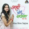 About Aha Binu Sajna Song