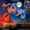 About Tu Mera Chand Song