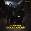 About Gatos Pardos Song