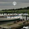 About La Relajación Natural De La Mente Song