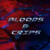 About BLOODS N CRIPS Song