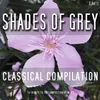 About Shades of Grey (Title Track of the Compilation) Song