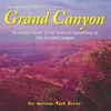 Canyon Song