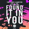 About Found It in You (Matvey Emerson Remix) [feat. a-Sho] Song