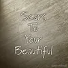 Scars To Your Beautiful