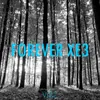 About Forever Xe3 (Vibe Mashup) Song