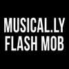 About Musical.Ly Flash Mob Song