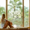 About Never Let Me Go (feat. Emma Carn) Song