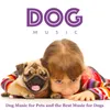 Dog Music Piano