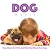 The Best Music for Dogs While You're Gone
