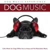 Music for Pets Relaxation