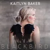 About Blackbird Song