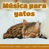 Sonidos de Sueño Para Tu Gato