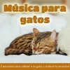 Música de Cuna Para Gatitos