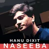 About Naseeba Song