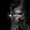 About I'm Sorry Song