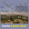 About The Way There Is Meant to Be Free Song