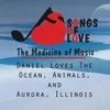 About Daniel Loves the Ocean, Animals, and Aurora, Illinois Song