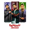 About Sandhu Takeover Song