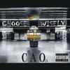 About Choose Wisely Song