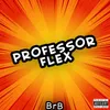 About Professor Flex Song