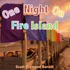 About One Night on Fire Island Song