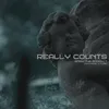 About Really Counts Song