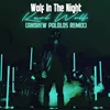 About Wolf in the Night (Remix) Song