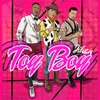 About Toyboy Song