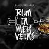 About Rum in Meh Veins Song