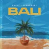 About Bali Song