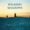 About Walking Shadows Song