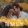 About Tu Na Sahi Song