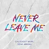 About Never Leave Me Song