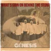 About What's Goin on Behind the Stone Song
