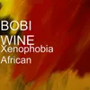 About Xenophobia African Song