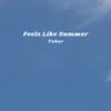 About Feels Like Summer Song