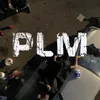 PLM