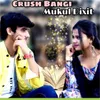 About Crush Bangi Song