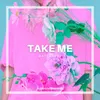 About Take Me Song