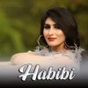 About Habibi Song