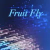 About Fruit Fly Song