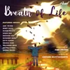 About Breath Of Life Song