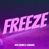 About Freeze Song