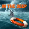About In the Deep Song