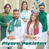 About Piyara Pakistan Song