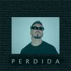 About Perdida Song