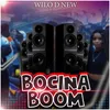 About Bocina Boom Song